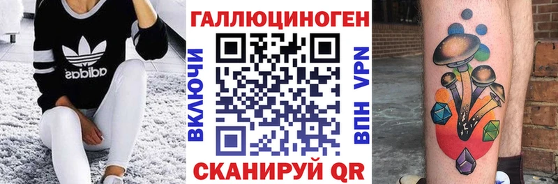 Псилоцибиновые грибы Psilocybe Кяхта
